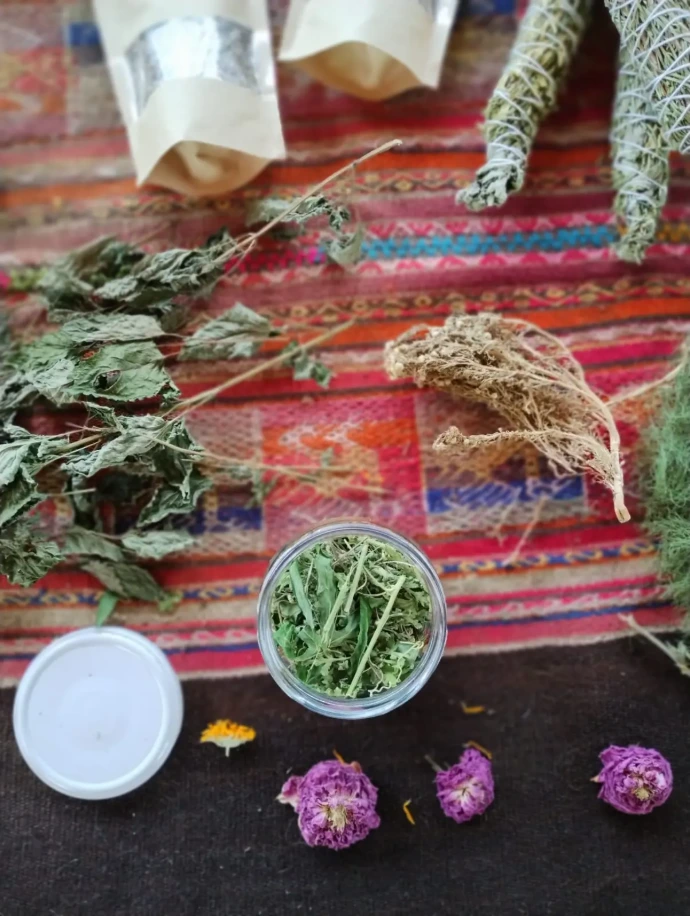 plantas medicinales