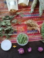 plantas medicinales encuentro