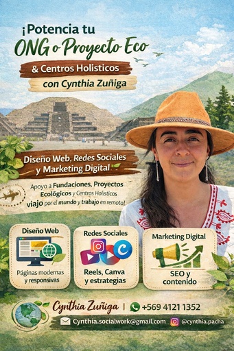 Asistencia online de Redes Sociales o Diseño web