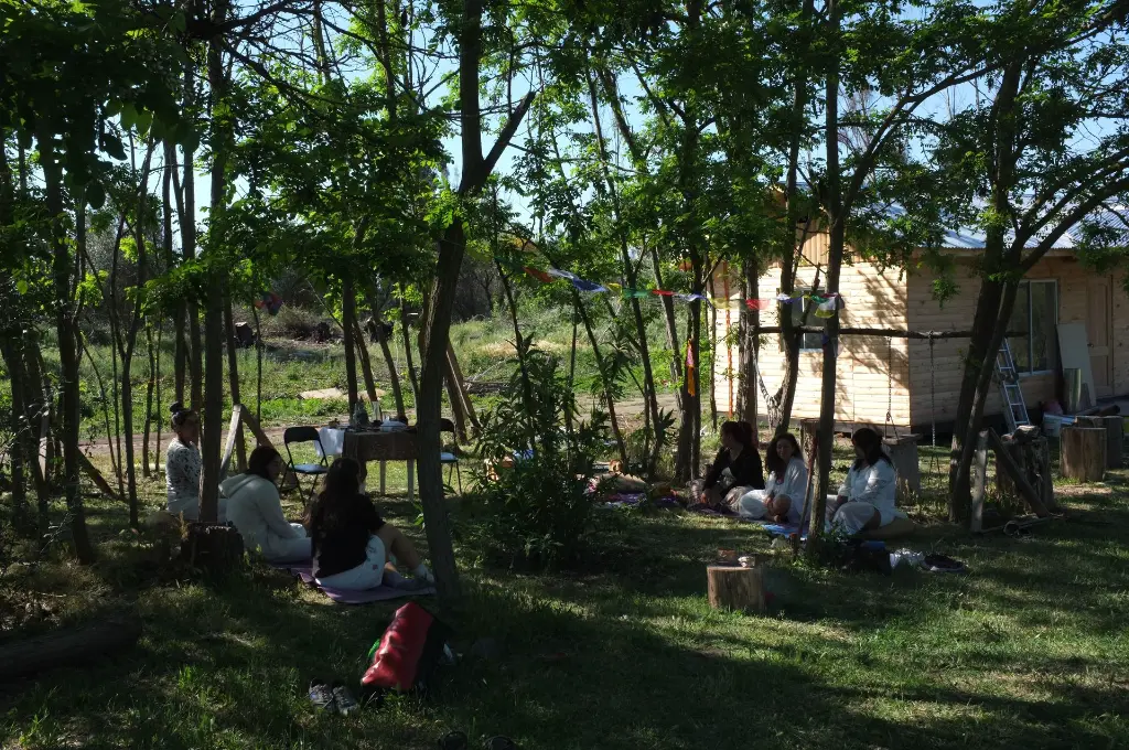 Iniciaciones de Reiki.webp