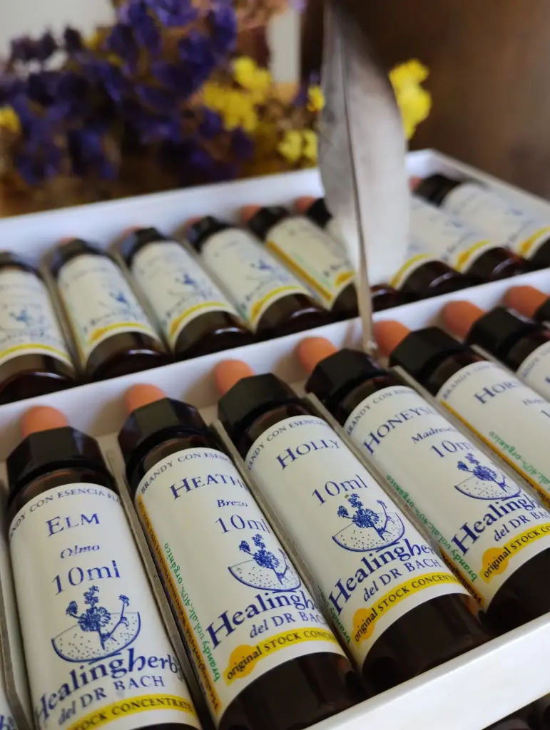 Thérapie Florale Intégrative (enfants, adolescents, famille et animaux de compagnie)