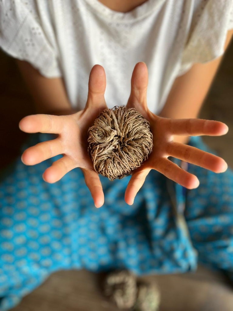 Acompañamiento Femenino Presencial